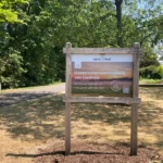 Oesterzwammen-van-lieshout-blog-post-afbeelding