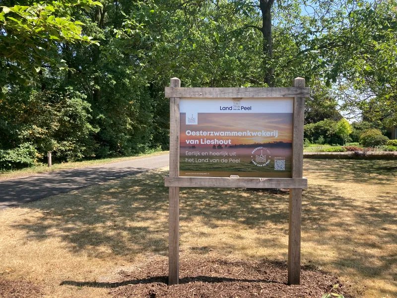 Oesterzwammen-van-lieshout-blog-post-afbeelding